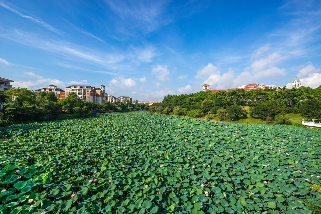 Heshan Phoenix Hotel Jiangmen Εξωτερικό φωτογραφία